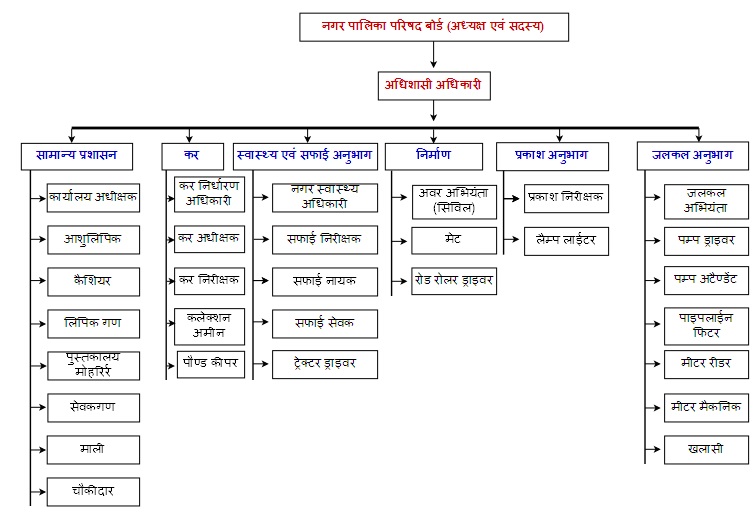 Organization